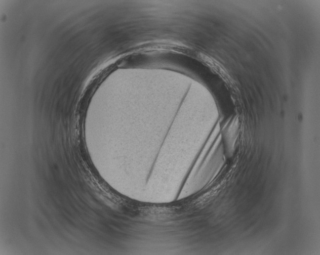 X0000083651164200703121738