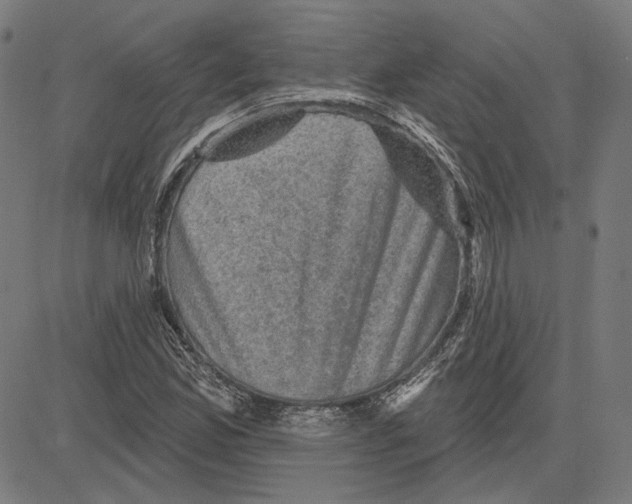 X0000083651165200703121738