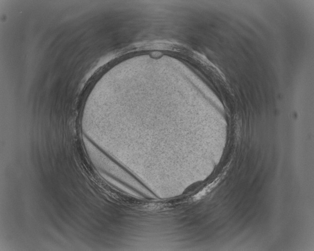 X0000083651166200703121738