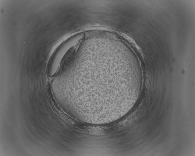 X0000083651167200703121738