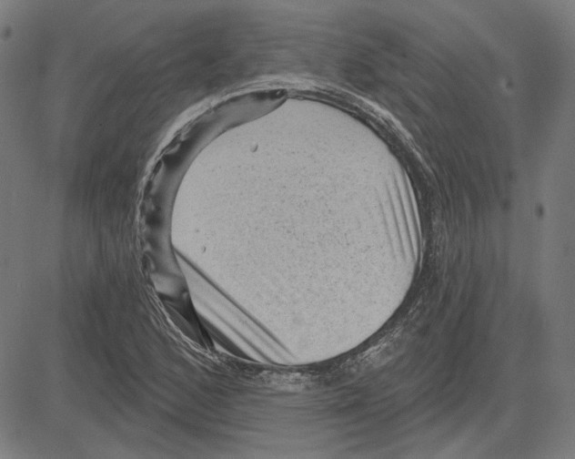 X0000083651168200703121738