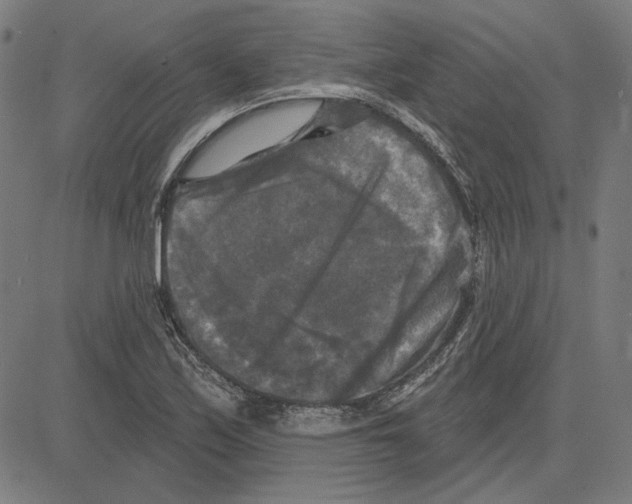 X0000083651171200703121738