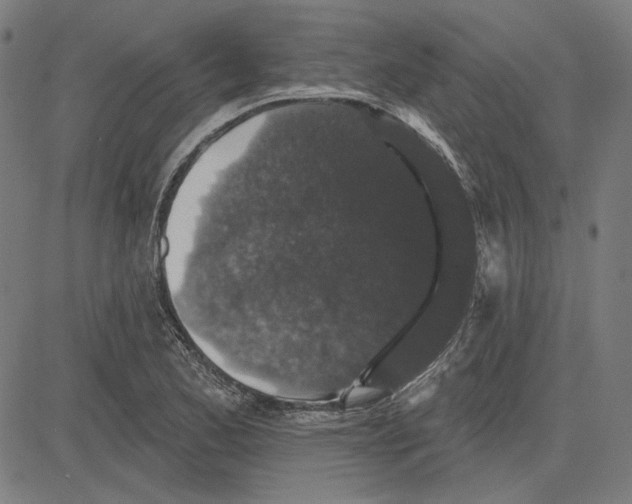 X0000083651173200703121738