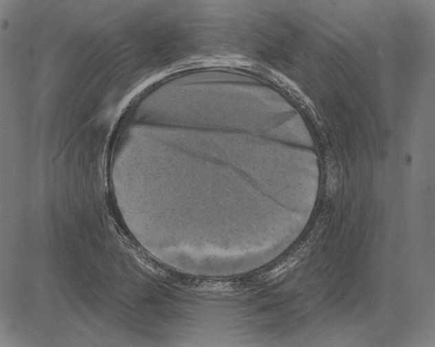 X0000083651174200703121738