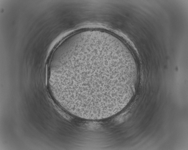 X0000083651175200703121738