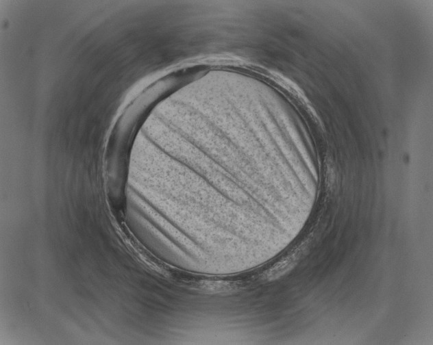 X0000083651176200703121738