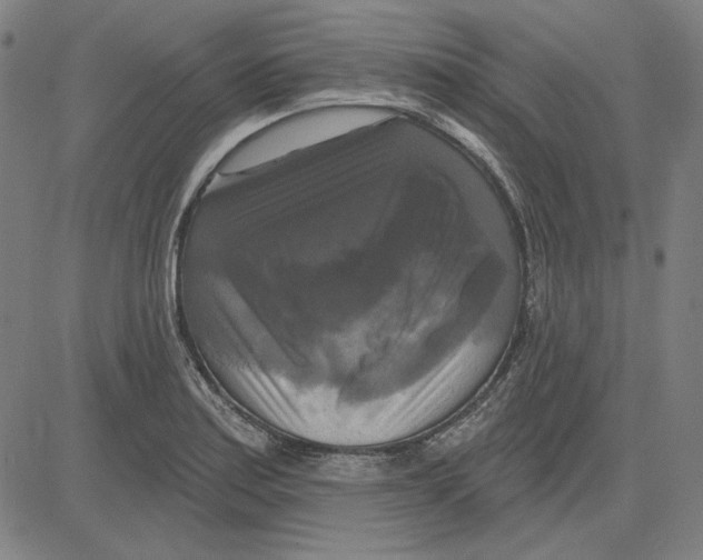 X0000083651179200703121737