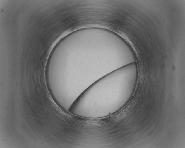 X0000083651181200703121737