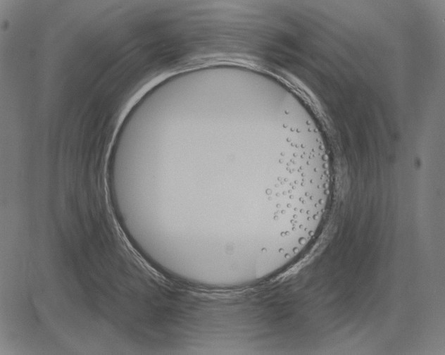 X0000083651182200703121737