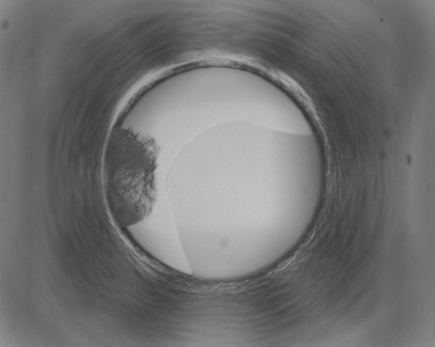 X0000083651183200703121737