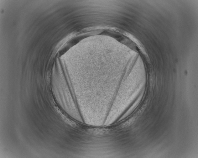 X0000083651185200703121737