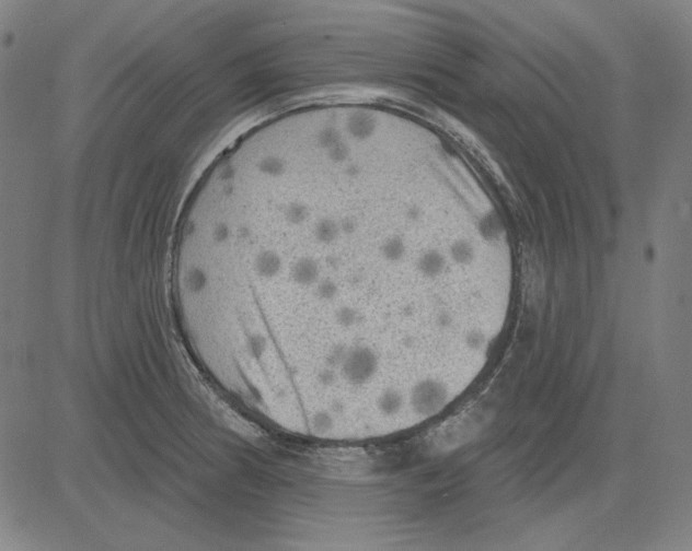 X0000083651186200703121737