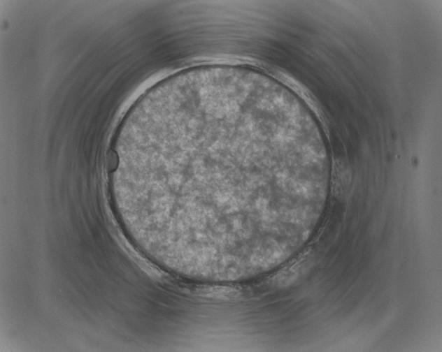 X0000083651187200703121737