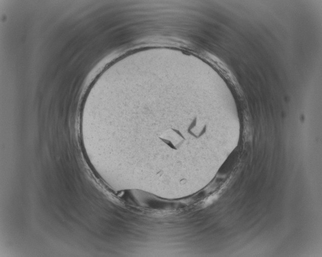 X0000083651188200703121737