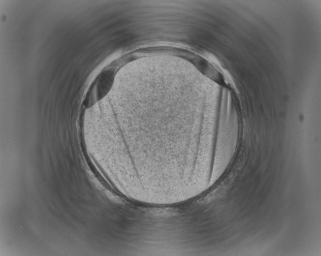 X0000083651189200703121737