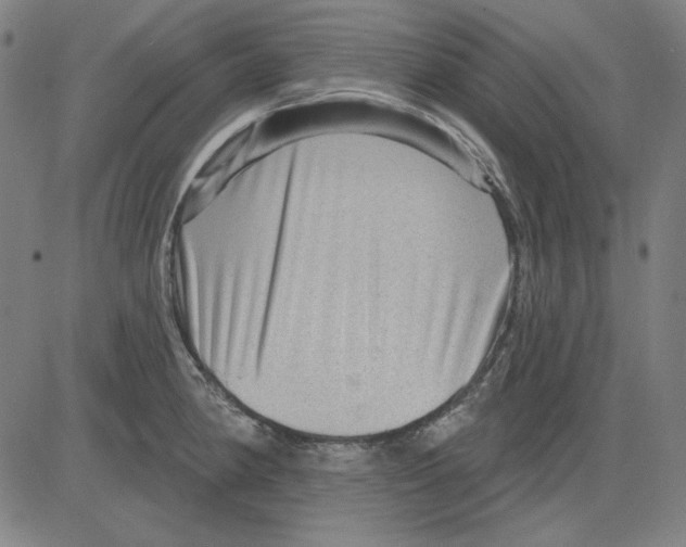 X0000083651190200703121737