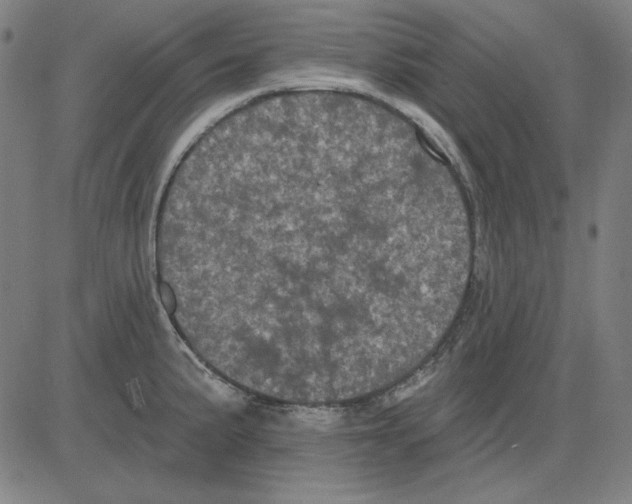 X0000083651191200703121737