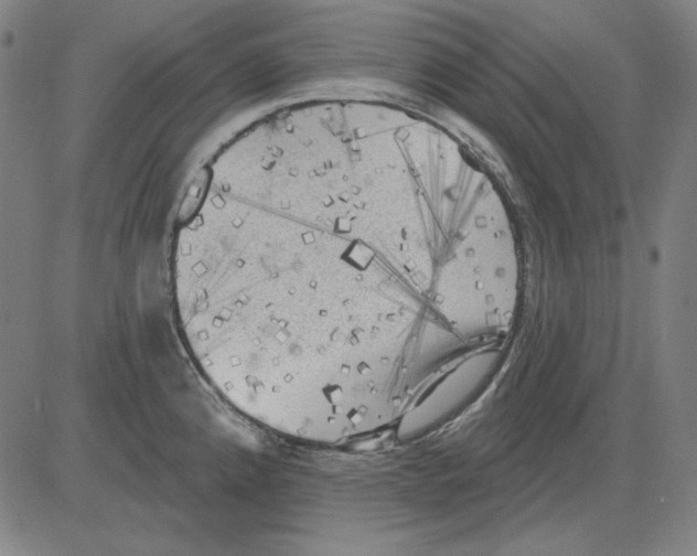 X0000083651192200703121737