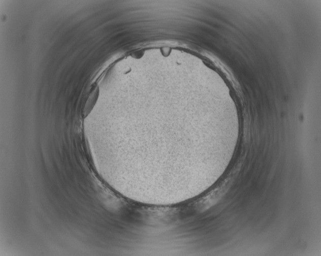 X0000083651193200703121737