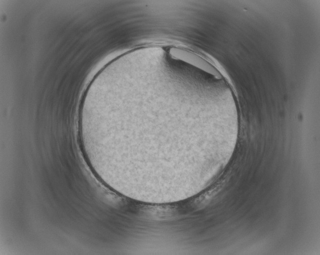 X0000083651195200703121737