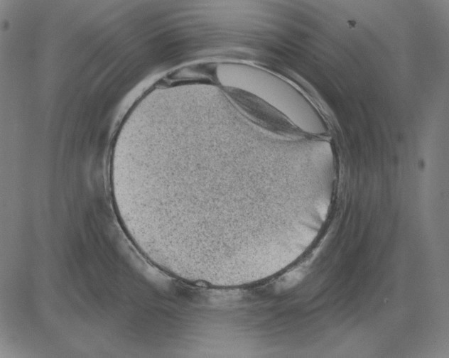 X0000083651196200703121737