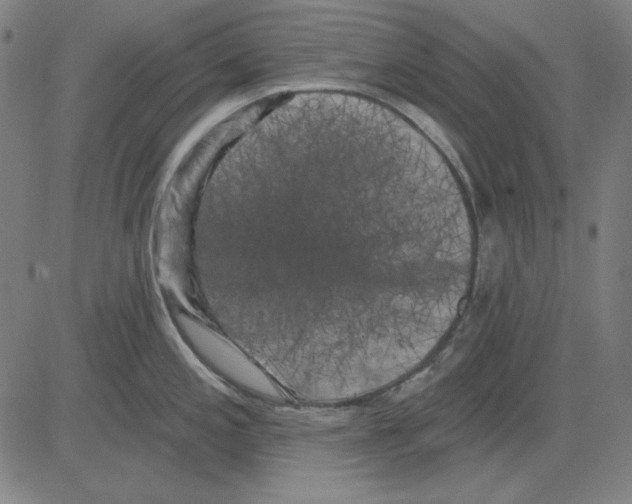 X0000083651197200703121737