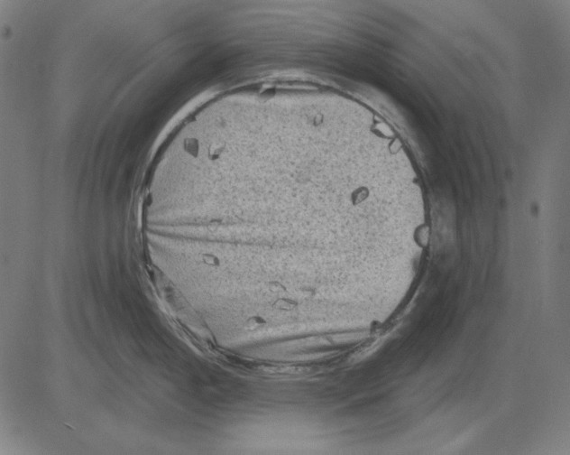 X0000083651198200703121737