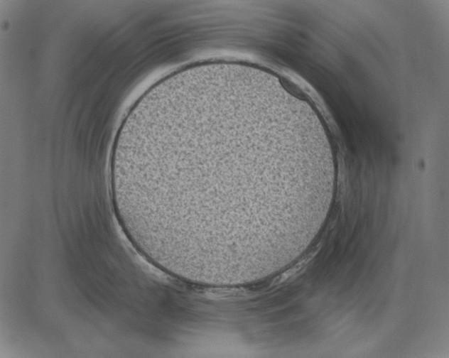 X0000083651199200703121737