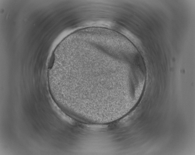 X0000083651200200703121737