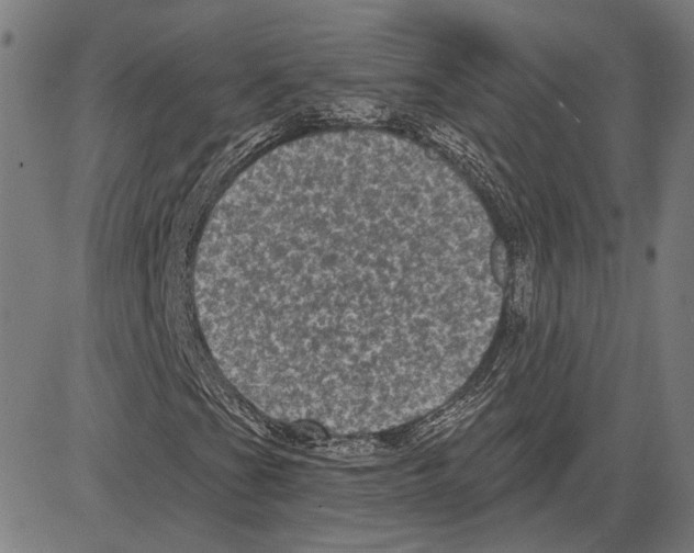 X0000083651201200703121736