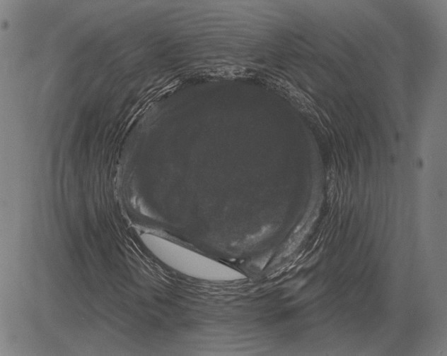 X0000083651202200703121736