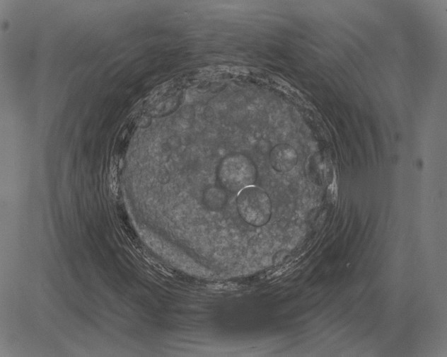 X0000083651203200703121736