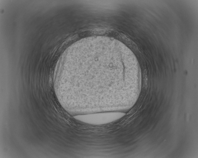 X0000083651204200703121736