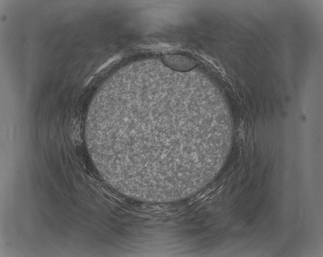 X0000083651205200703121736