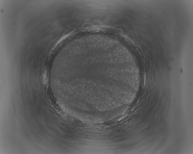 X0000083651206200703121736