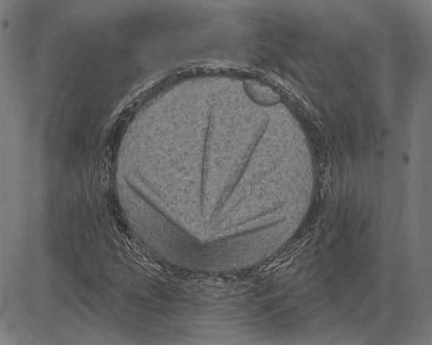 X0000083651207200703121736