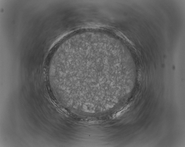 X0000083651208200703121736