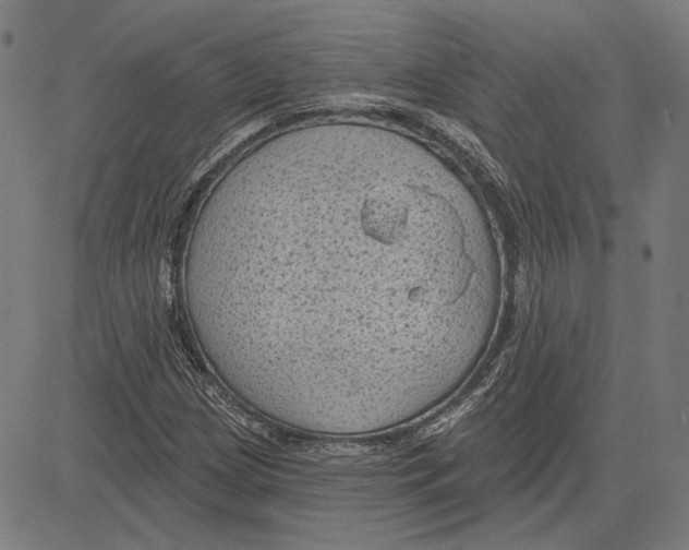 X0000083651209200703121736