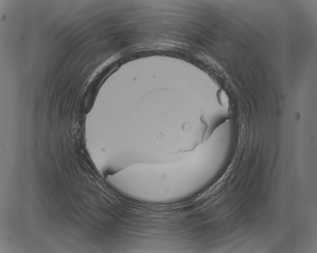 X0000083651210200703121736