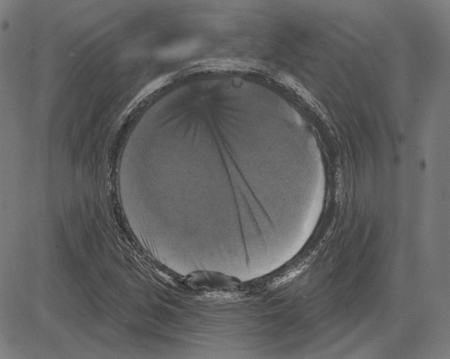 X0000083651213200703121737