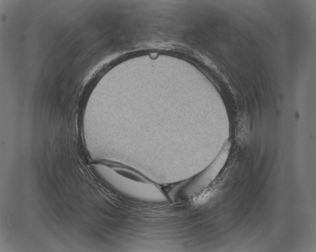 X0000083651214200703121737