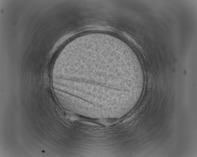 X0000083651215200703121737