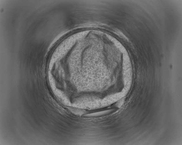 X0000083651216200703121737