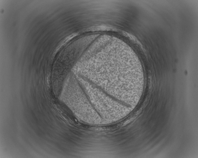 X0000083651217200703121737