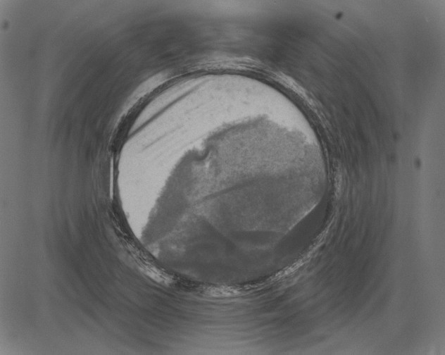 X0000083651219200703121737