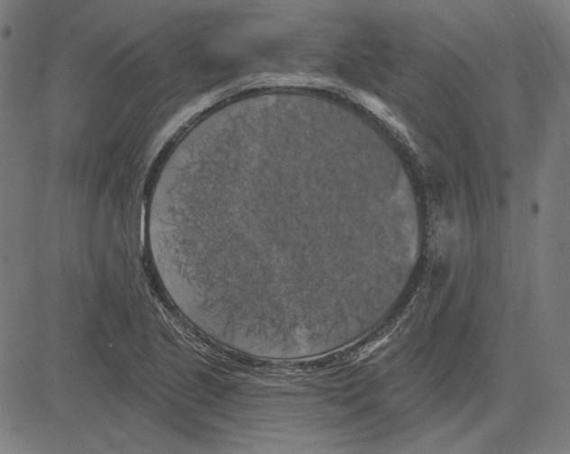 X0000083651221200703121737