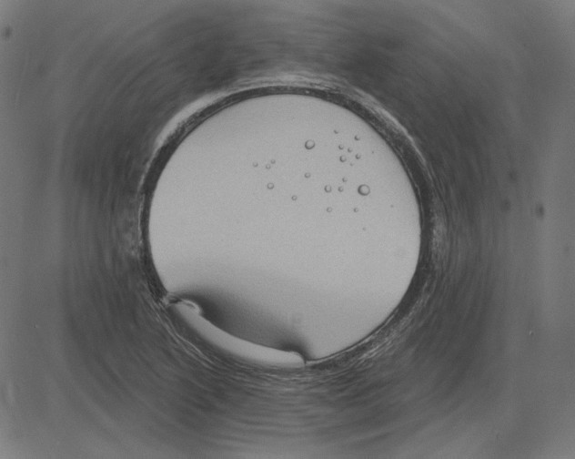 X0000083651222200703121737