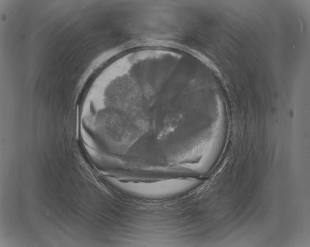 X0000083651223200703121737