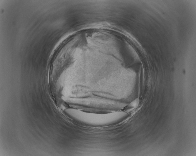 X0000083651224200703121737