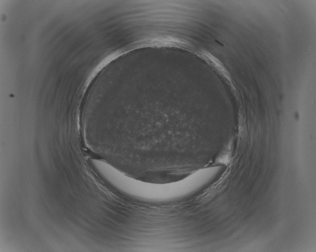 X0000083651226200703121737